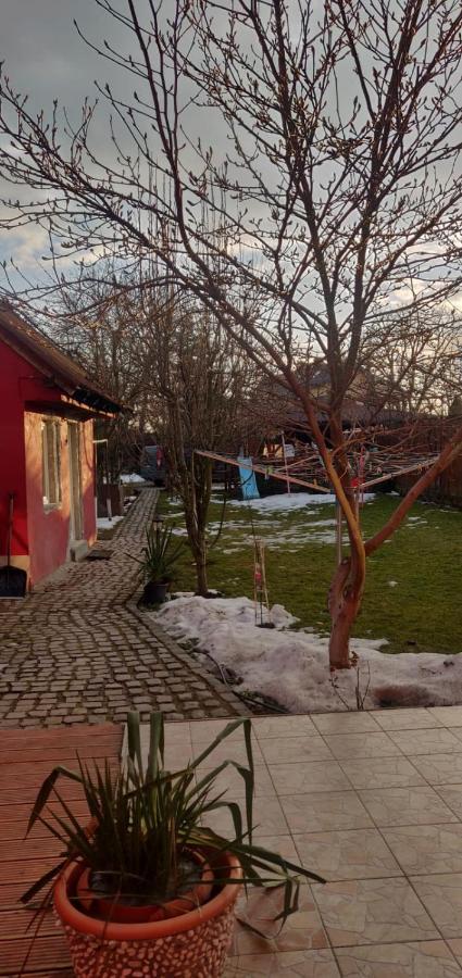 Casa Terzea Hotel Rîşnov Екстериор снимка