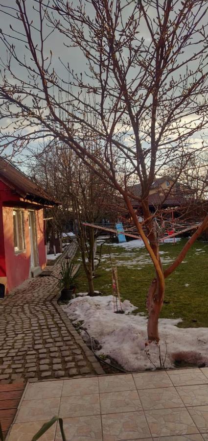 Casa Terzea Hotel Rîşnov Екстериор снимка